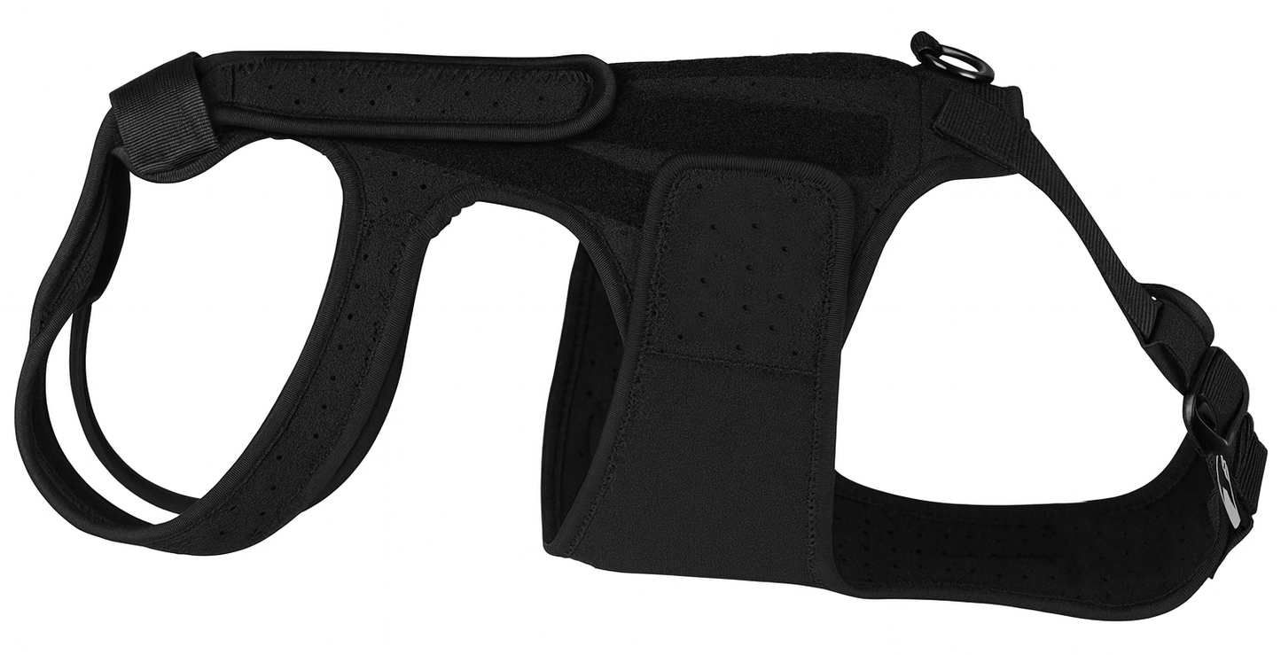 Canine Back Brace for IVDD Spinal Support