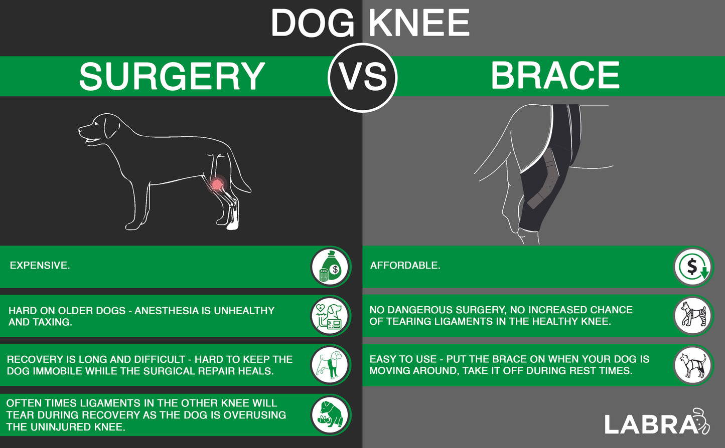 *Refurbished* Canine Knee Brace ACL, MCL, CCL, Patella Injuries