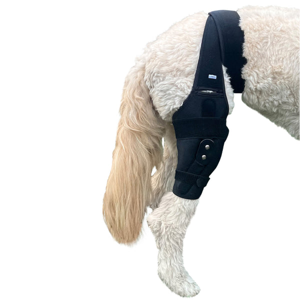 Refurbished Canine Knee Brace