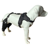 Canine Dual Knee Brace with Hinged Metal Hinged Support System