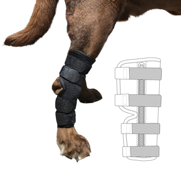Super Supportive Canine Hock Brace Labra Support Products