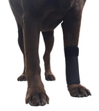 Canine Front Leg Wrap