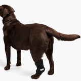 Dog Ice Heat Therapy Rear Leg Wrap