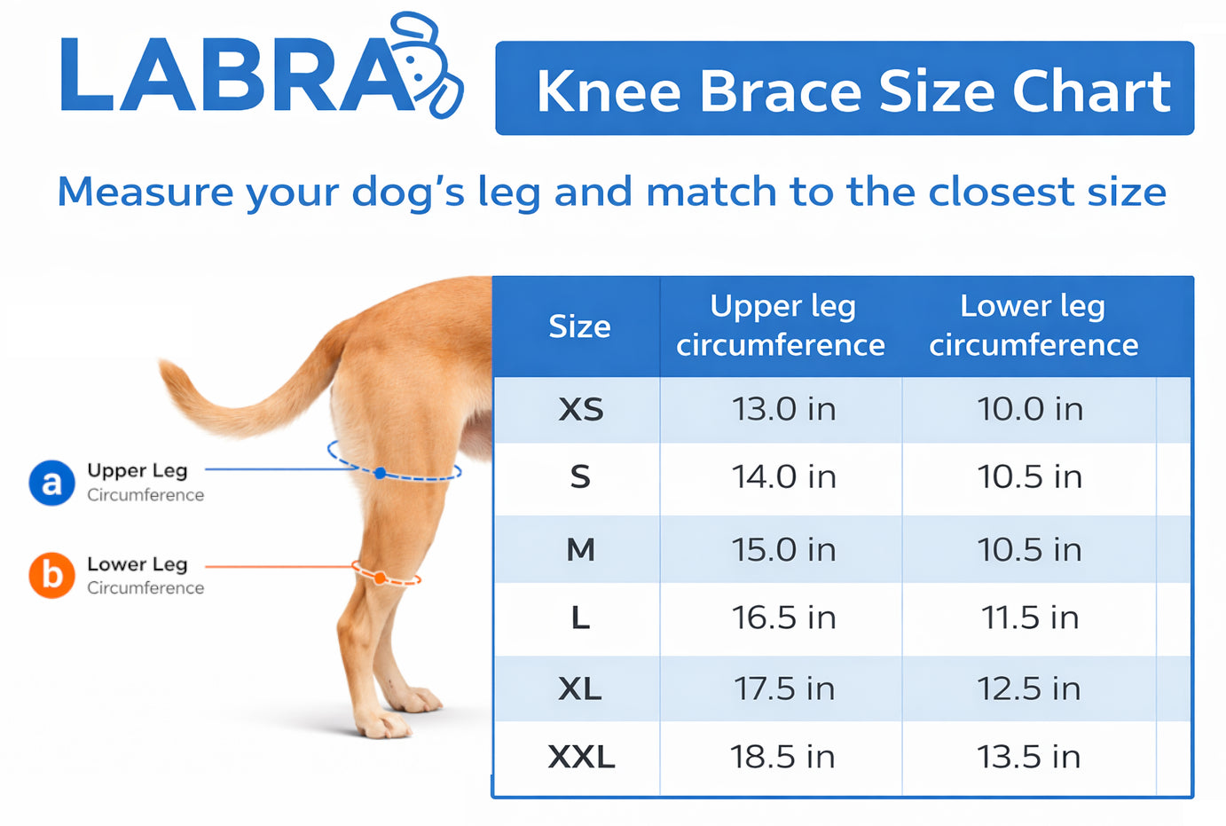 Canine Knee Brace ACL, MCL, CCL, Patella Injuries - RIGHT KNEE
