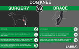 Canine Knee Brace ACL, MCL, CCL, Patella Injuries