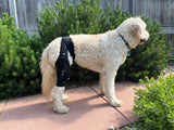 Canine Knee Brace ACL, MCL, CCL, Patella Injuries