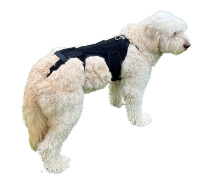 Canine Back Brace for IVDD Spinal Support