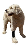 Canine Front Leg Wrap with Metal Spring Supports