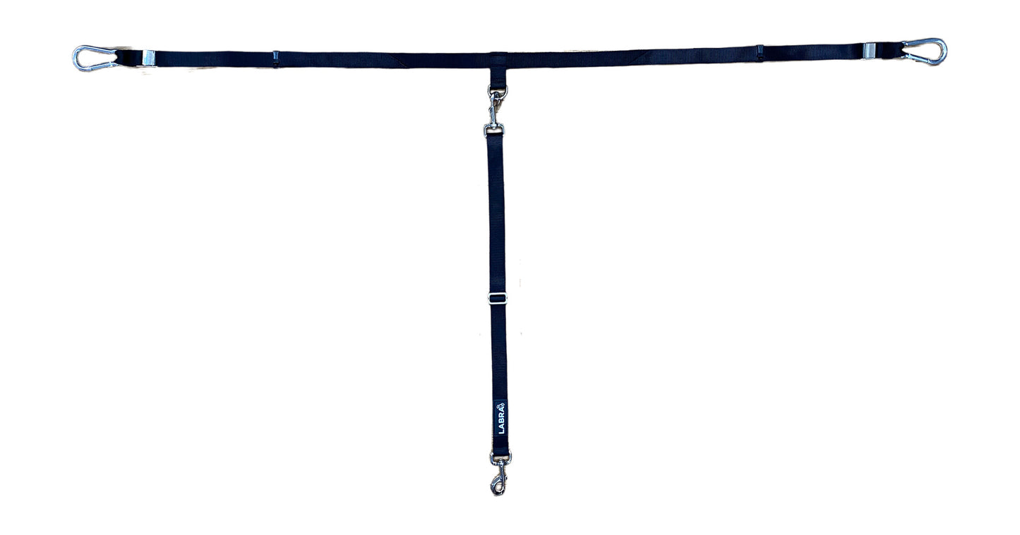 Truck Bed Leash Tether