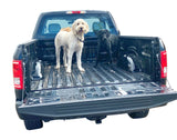 Truck Bed Leash Tether