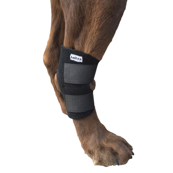 Lightweight Canine Leg Brace