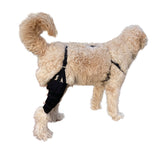 *Refurbished* Canine Dual Knee Brace with Hinged Metal Hinged Support System
