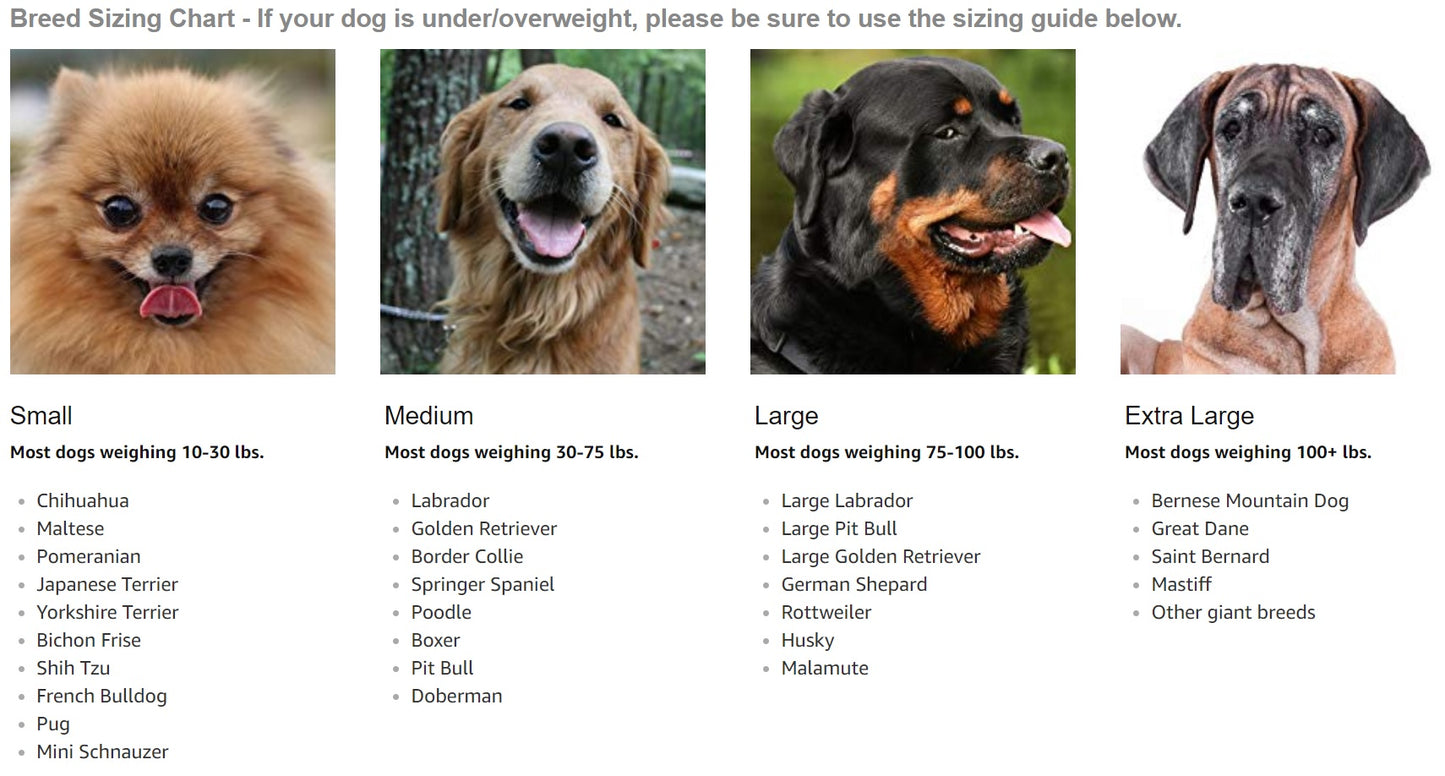 Extra Supportive Canine Hock Brace