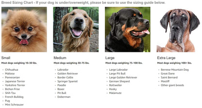 Extra Supportive Canine Hock Brace
