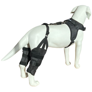 Canine Dual Knee Brace with Hinged Metal Hinged Support System