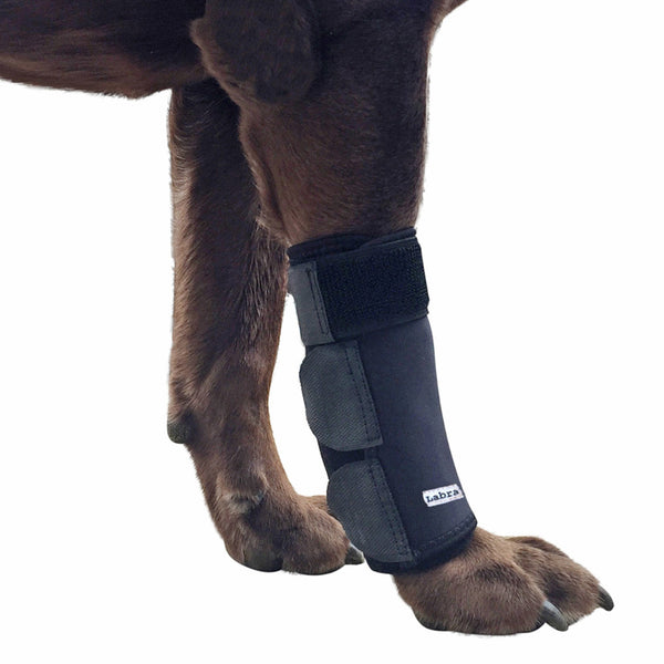 Canine Front Leg Wrap