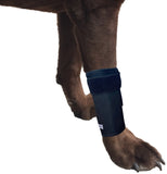 Canine Front Leg Wrap with Metal Spring Supports