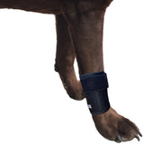 Canine Front Leg Wrap with Metal Spring Supports
