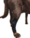 Super Supportive Canine Hock Brace