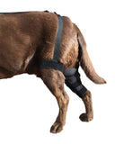 Canine Knee Brace with Hinged Metal Splints ACL, MCL, CCL, Patella Injuries