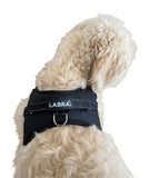 Chest Harness for use with Canine Knee Brace