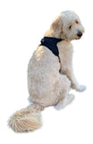 Chest Harness for use with Canine Knee Brace