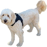 Chest Harness for use with Canine Knee Brace