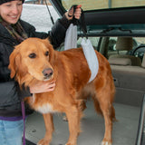 Soft Fleece Canine Support Sling