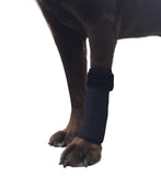 Canine Front Leg Wrap