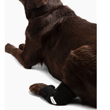 Dog Ice Heat Therapy Rear Leg Wrap