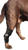 Dog Ice Heat Therapy Rear Leg Wrap