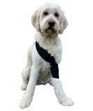 Dog Shoulder Brace Wrap