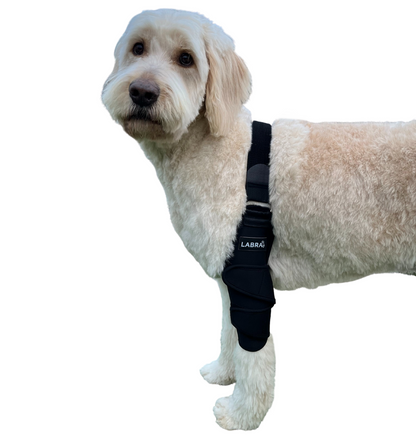 Dog Shoulder Brace Wrap