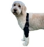 Dog Shoulder Brace Wrap