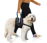 Canine Support Sling with Chest Strap
